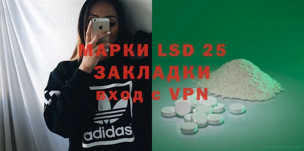 ПСИЛОЦИБИНОВЫЕ ГРИБЫ Алзамай